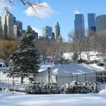 new-york central park