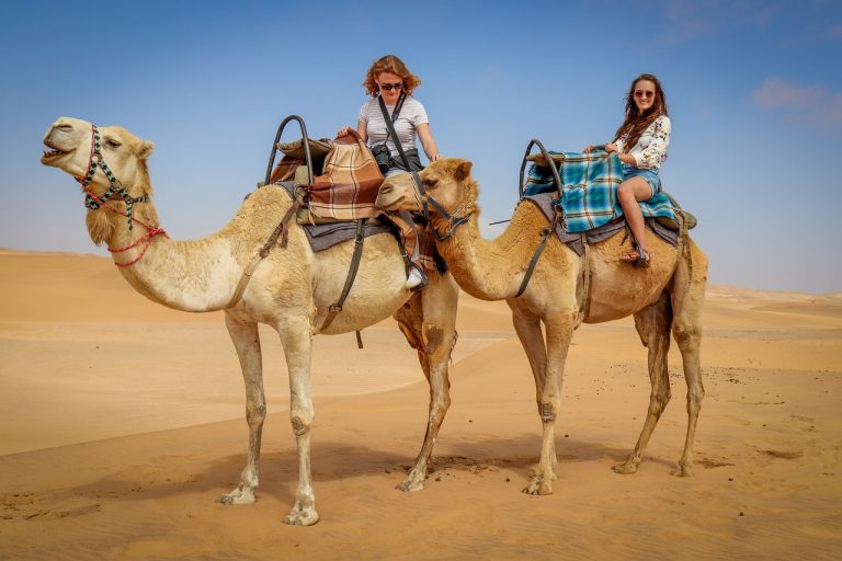 teve sivatag turista afrika
