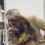 FCI Kutyakiállítás Budapest, 2021. Fotó: Helló Magyar ©️