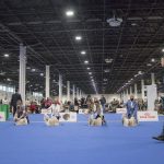 FCI Kutyakiállítás Budapest, 2021. Fotó: Helló Magyar ©️