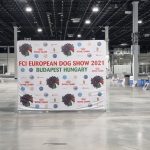 FCi