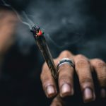 kannabisz