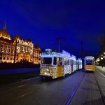 Az ország karácsonyfája 2021. Fotó: MTI