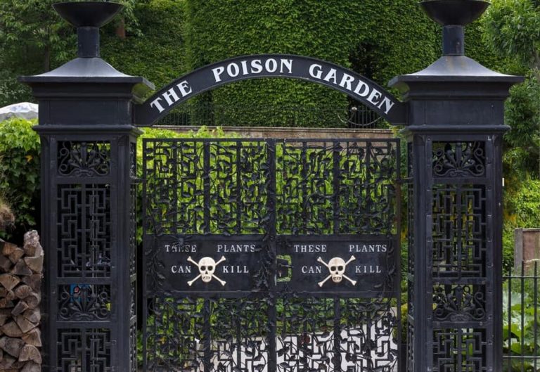 Poison garden