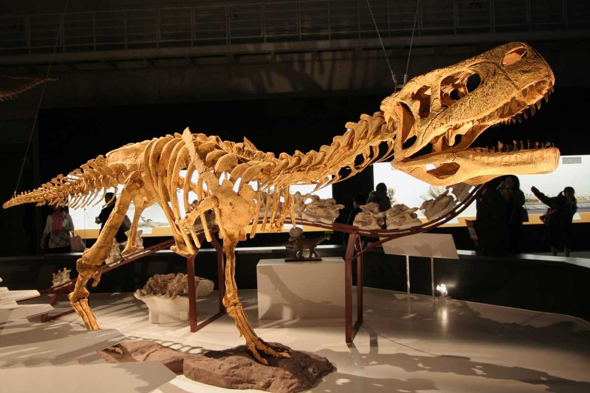 Abelisauridae dinoszaurusz