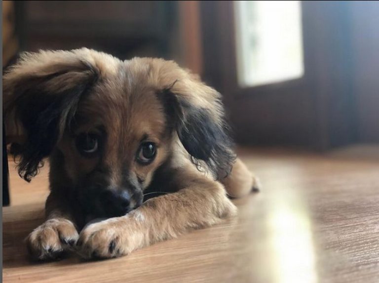 Tilly