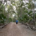 Mexikó 2022 Yucatán-félsziget Erdő