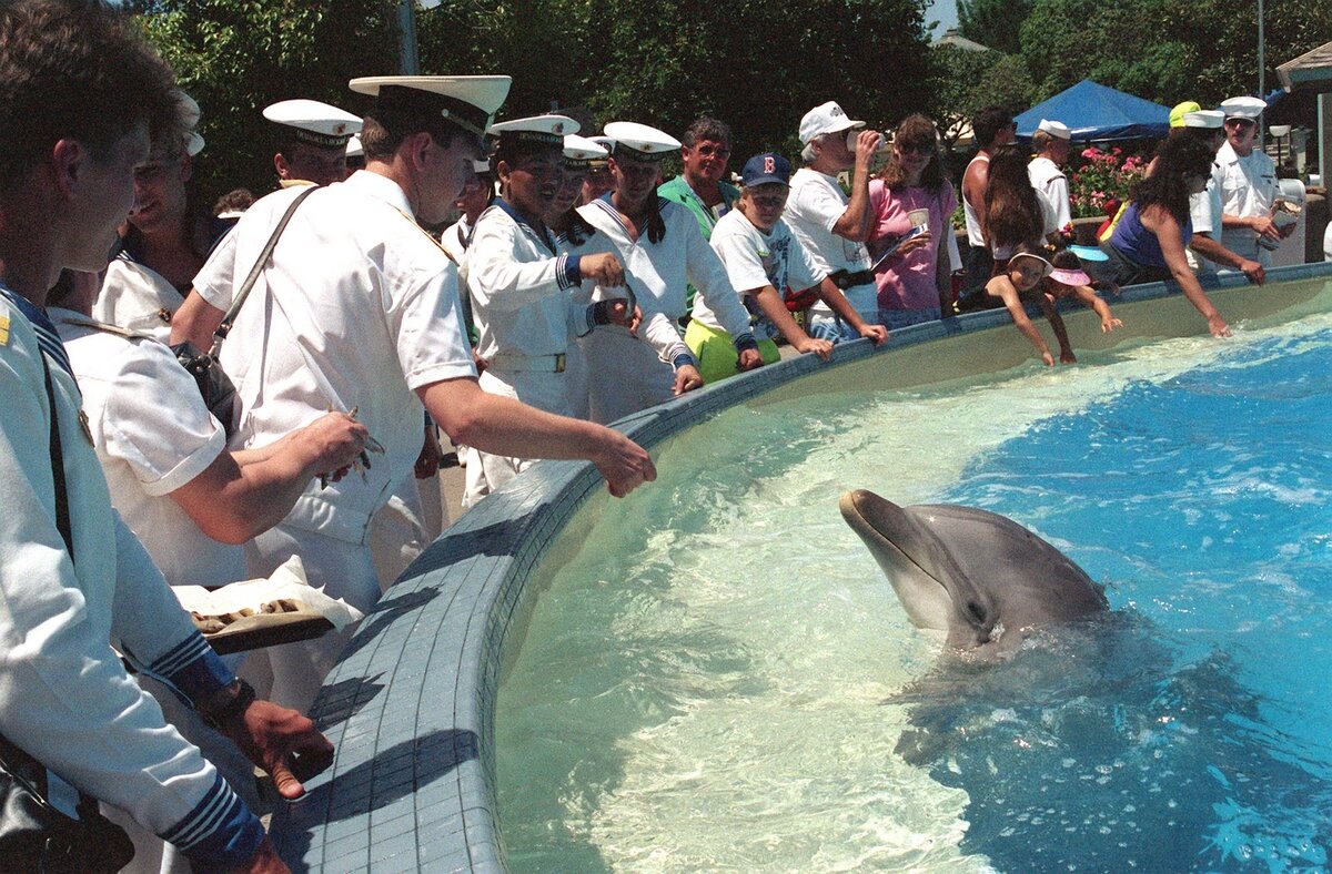 Szovjet delfin