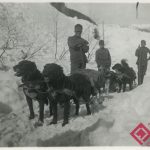 negylabu bajtarsak katonak es kutyak