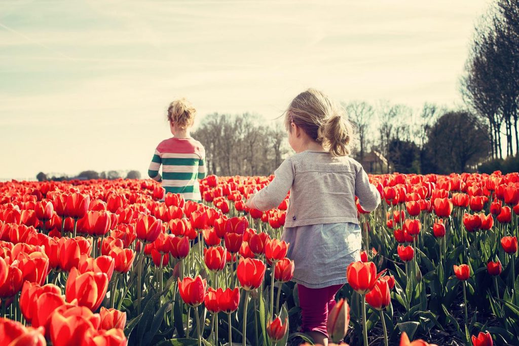 tulipános kert