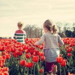 tulipános kert