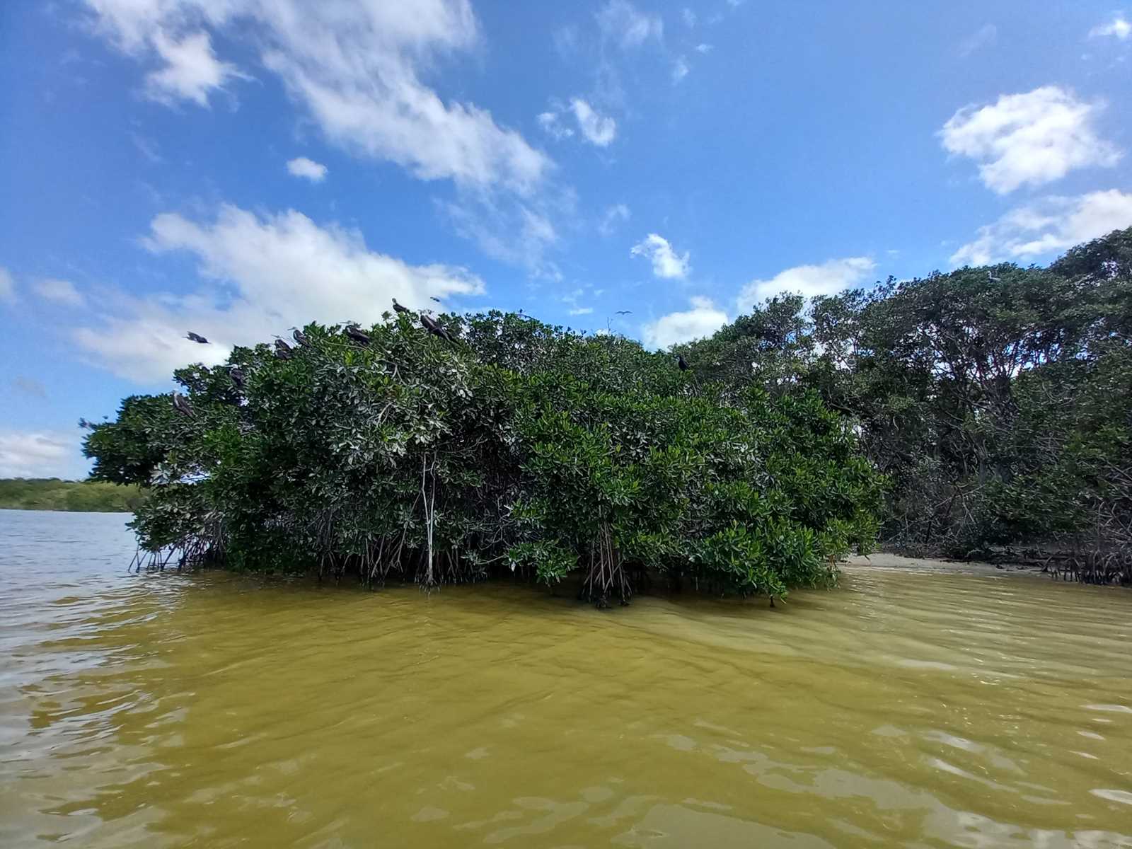 Mexikó 2022 Yucatán-félsziget - Celestún Biosfera