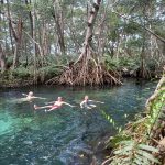Mexikó 2022 Yucatán-félsziget - Celestún fürdés