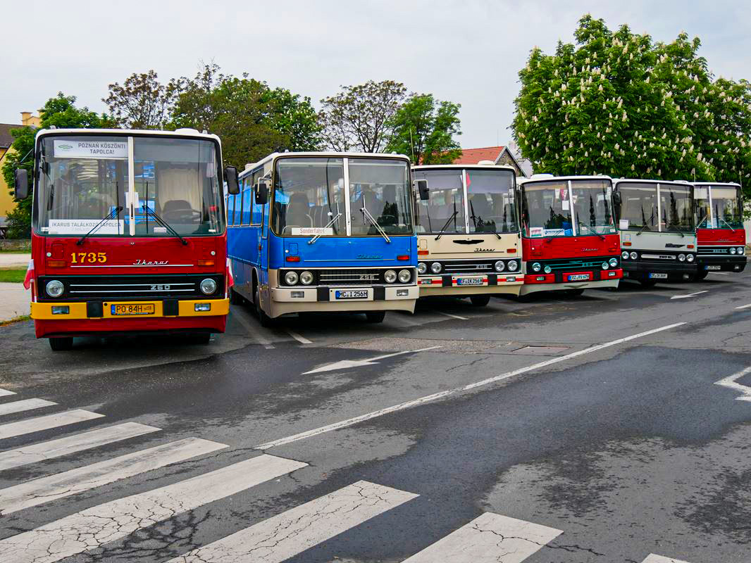 NDK-s és lengyel buszok