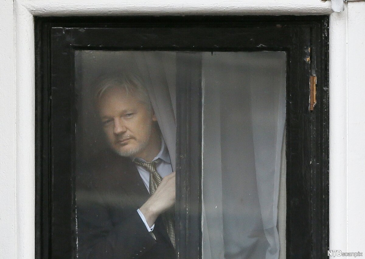 Assange