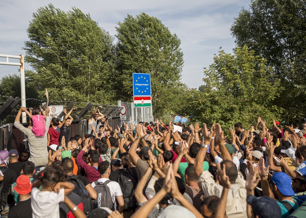 Illegális bevándorlók a magyar-szerb határnál