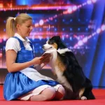 america got talent