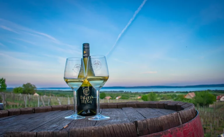 Balaton bor