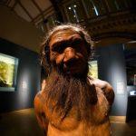 Neandervölgyi ember