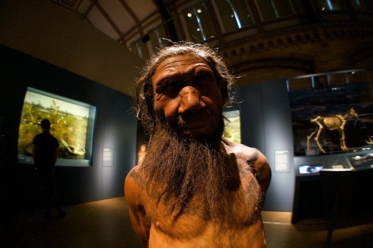 Neandervölgyi ember