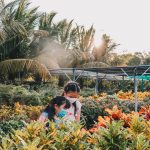 changi repülőtér szingapúr
