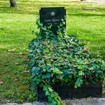 A Munkásőrség parancsnokának sírja