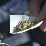 Kannabisz