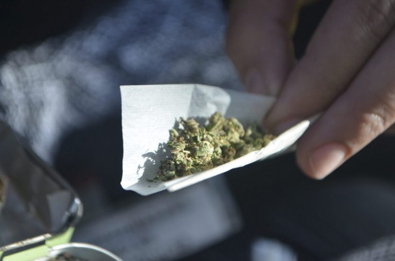 Kannabisz