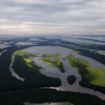 brazília amazonas esőerdő