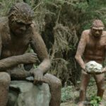 Homo Erectus