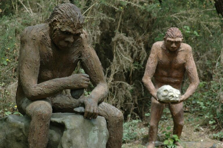 Homo Erectus