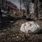 Ukrajna Oroszország háború borzalmai