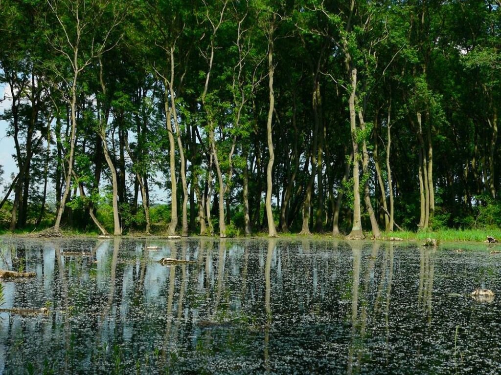 Duna-Ipoly Nemzeti Park Magyarország nemzeti parkok magyar
