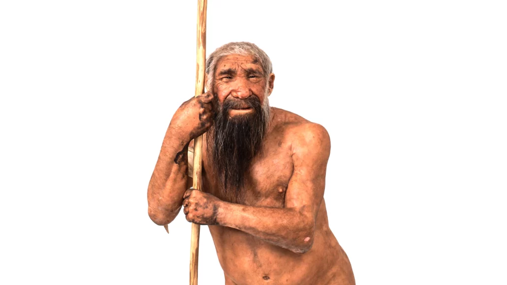 Neandervölgyi őseink