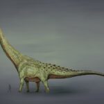dinoszaurusz Dél-Amerika