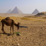 A gízai piramisok Egyiptom