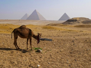 A gízai piramisok Egyiptom