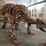 dinoszaurusz