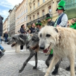 Szent Patrik Napja Budapest 2023
