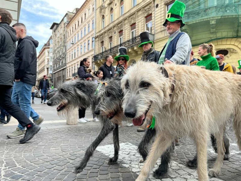 Szent Patrik Napja Budapest 2023