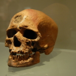 Cro-Magnon Európa emberei