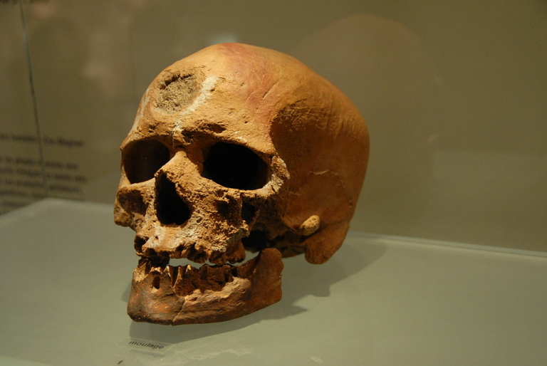 Cro-Magnon Európa emberei