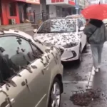 Féregeső Peking Kína