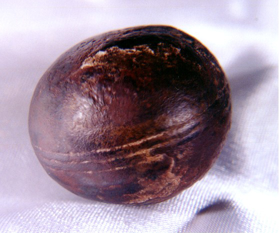 Klerksdorp gömbök Dél-Afrika