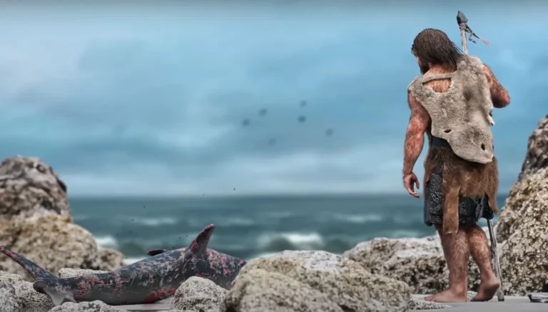 Rézkori őseink cápákra vadásztak