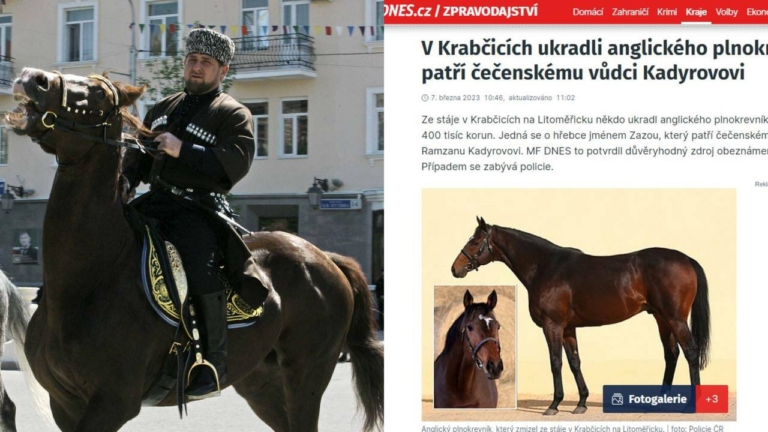 kadirov