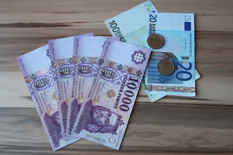 Euro-forint euró forint Bulgária Magyarország