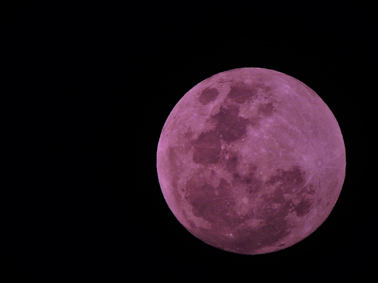 rózsaszín hold Hold