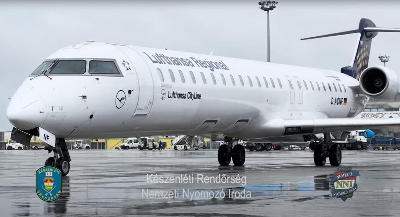 dominika csalókirálynő