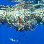 Nagy csendes-óceáni szemétsziget great pacific garbage patch